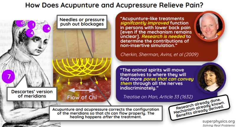 How Acupuncture and Acupressure Work