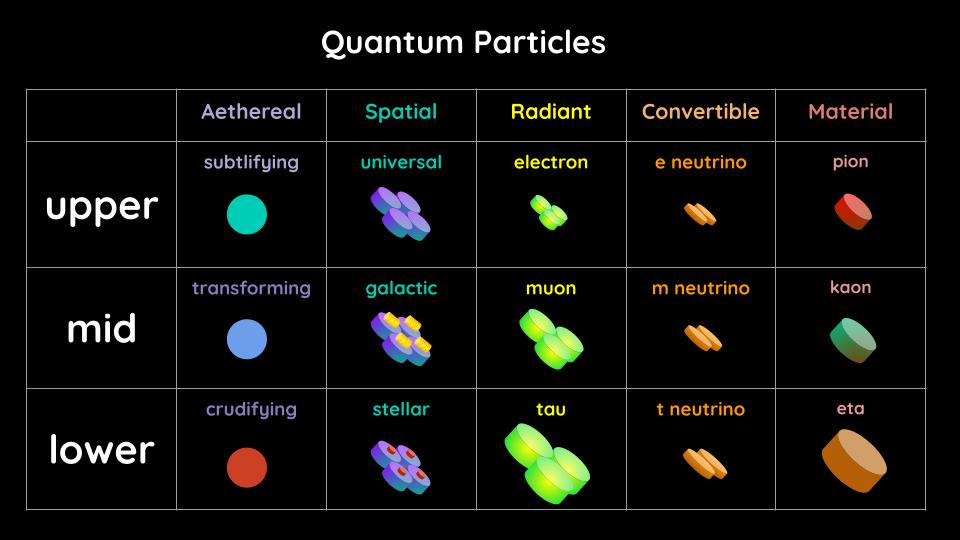 The Shapes of the Particles