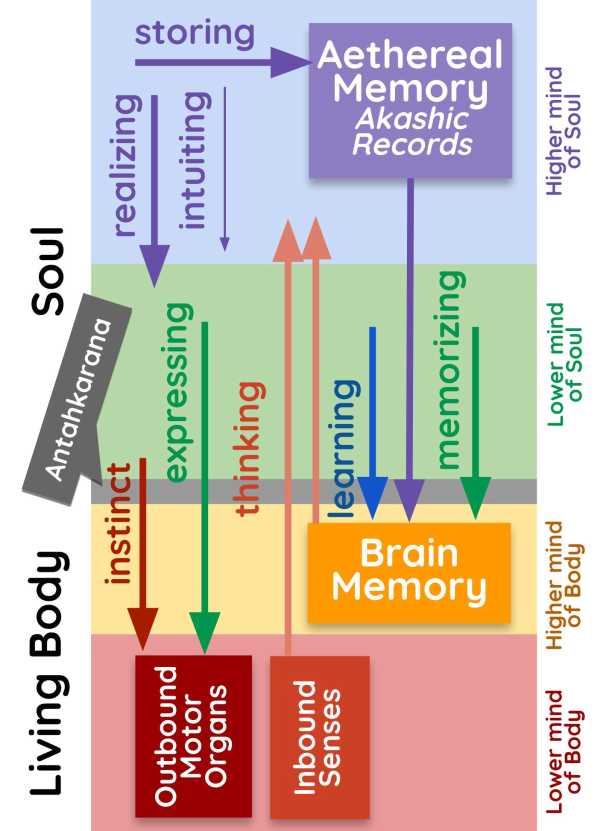 The 4 Operations of Thinking