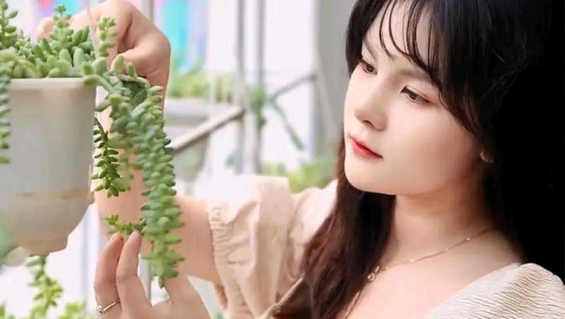 Aether in Agriculture