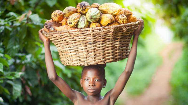 Balanced Economic Development