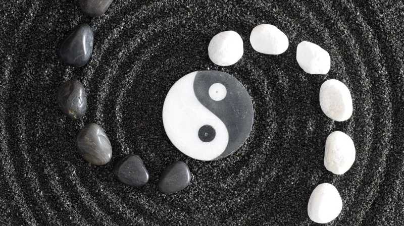 The 2 Forces: Positive and Negative