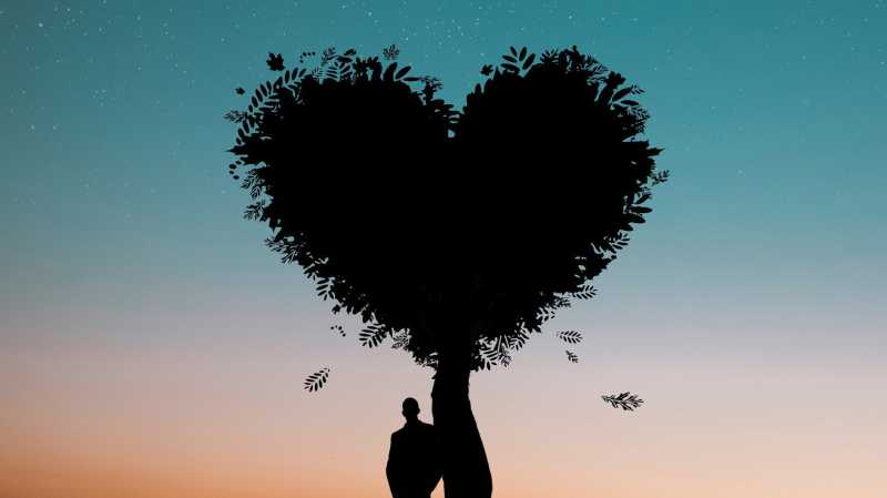 Heart Beats as soon as formed